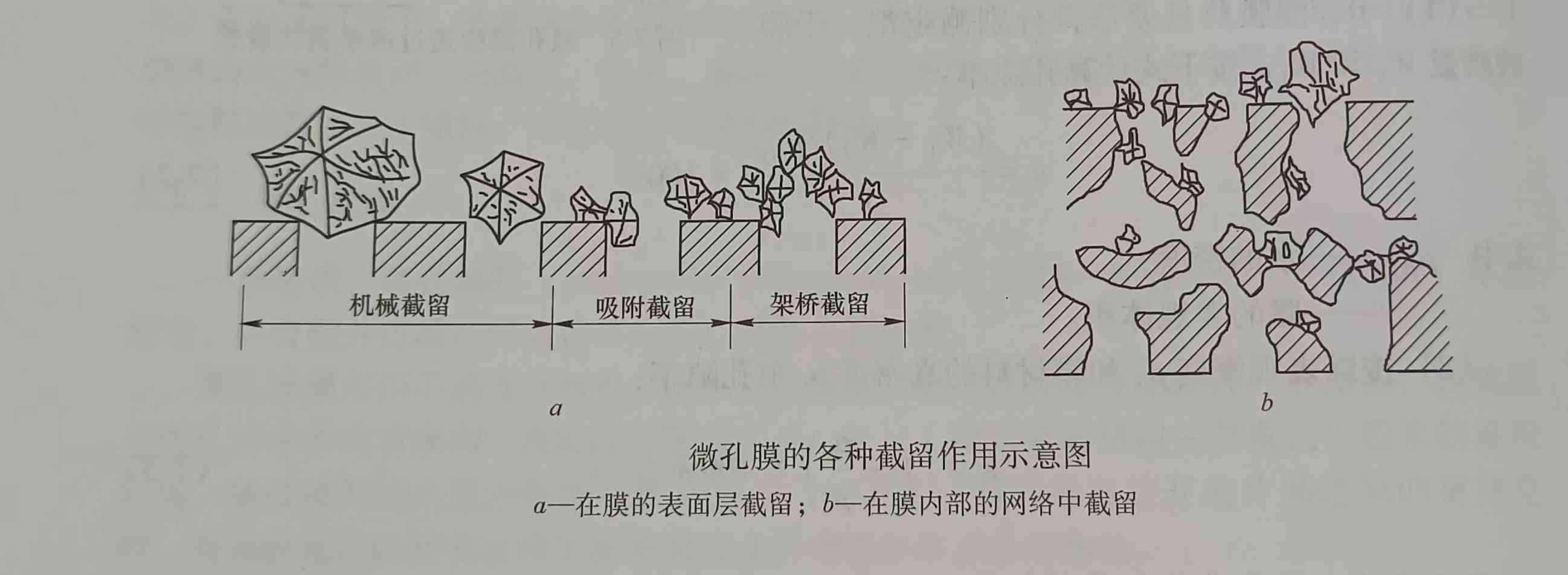 微孔濾膜的結(jié)構(gòu)性能（微孔濾膜有哪些結(jié)構(gòu)哪些性能）